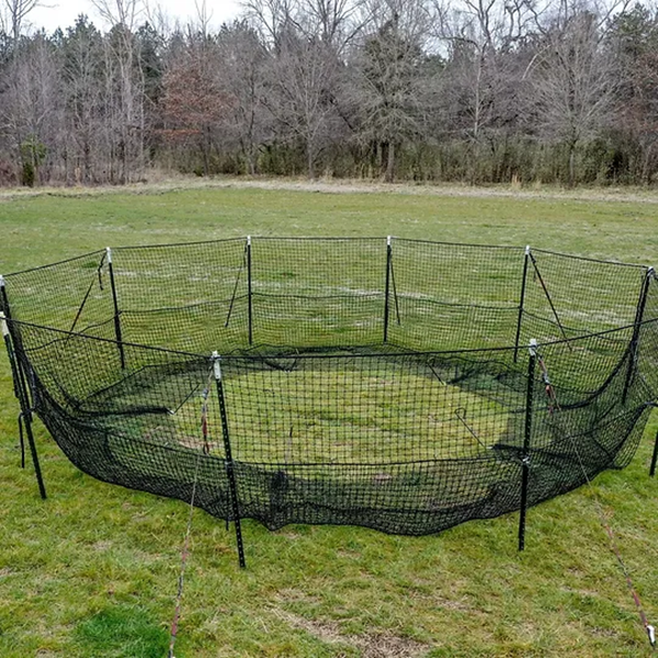 pig-brig